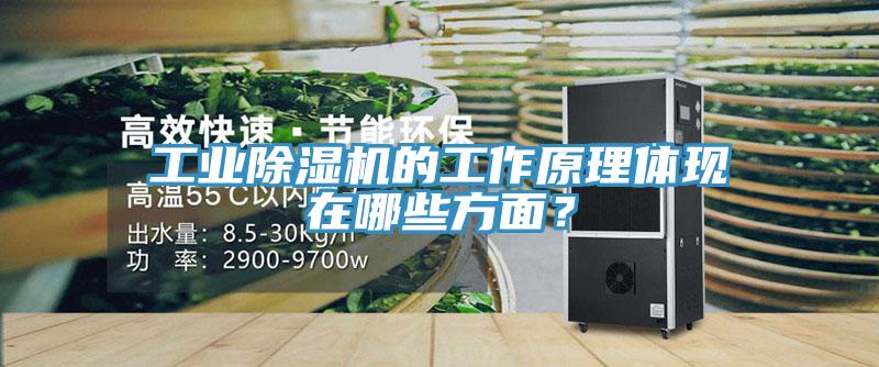 工業(yè)除濕機(jī)的工作原理體現(xiàn)在哪些方面？