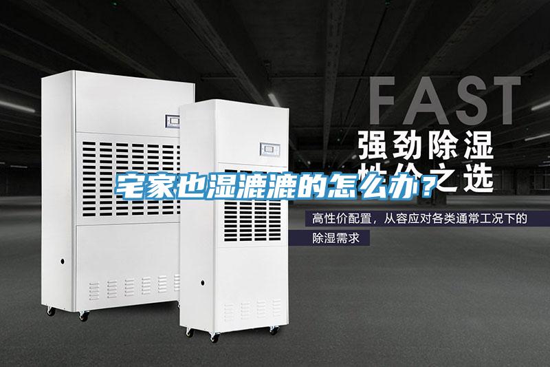 宅家也濕漉漉的怎么辦？