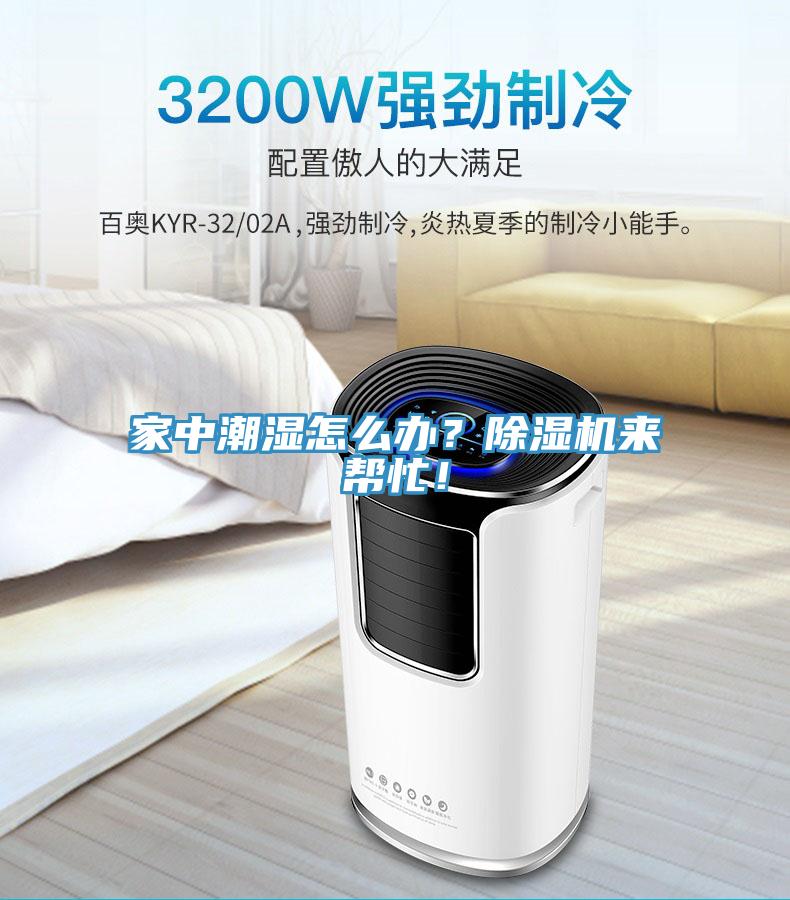 家中潮濕怎么辦？除濕機(jī)來(lái)幫忙！