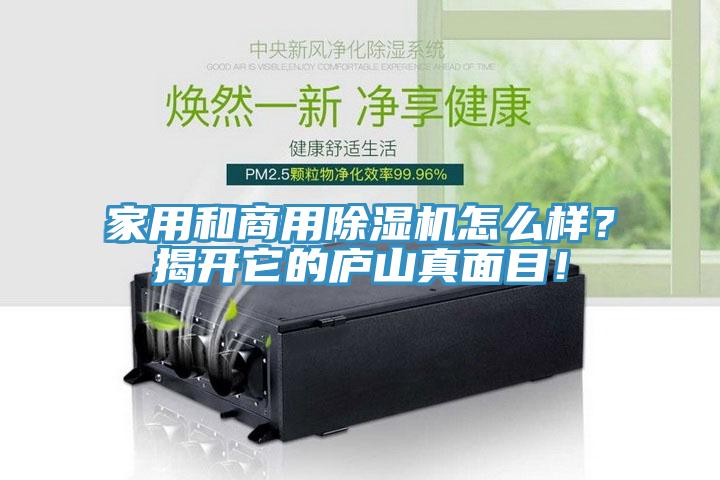 家用和商用除濕機怎么樣？揭開它的廬山真面目！