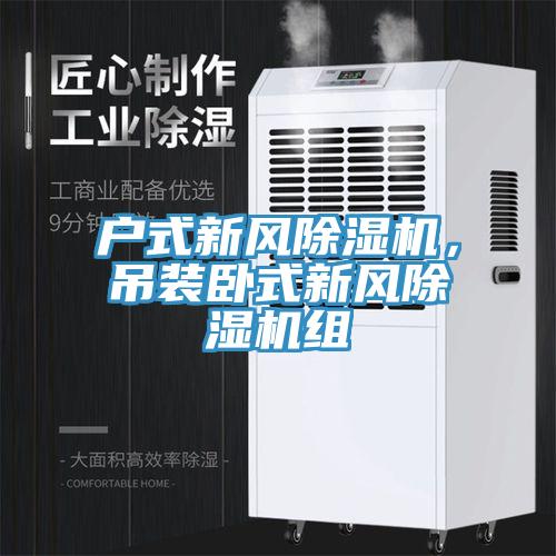 戶式新風(fēng)除濕機(jī)，吊裝臥式新風(fēng)除濕機(jī)組