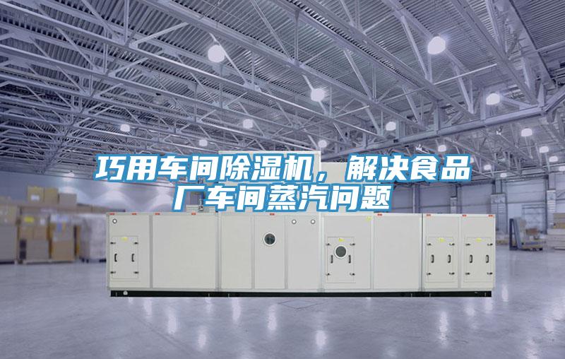 巧用車間除濕機(jī)，解決食品廠車間蒸汽問題