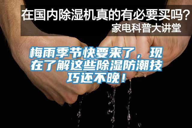 梅雨季節(jié)快要來(lái)了，現(xiàn)在了解這些除濕防潮技巧還不晚！