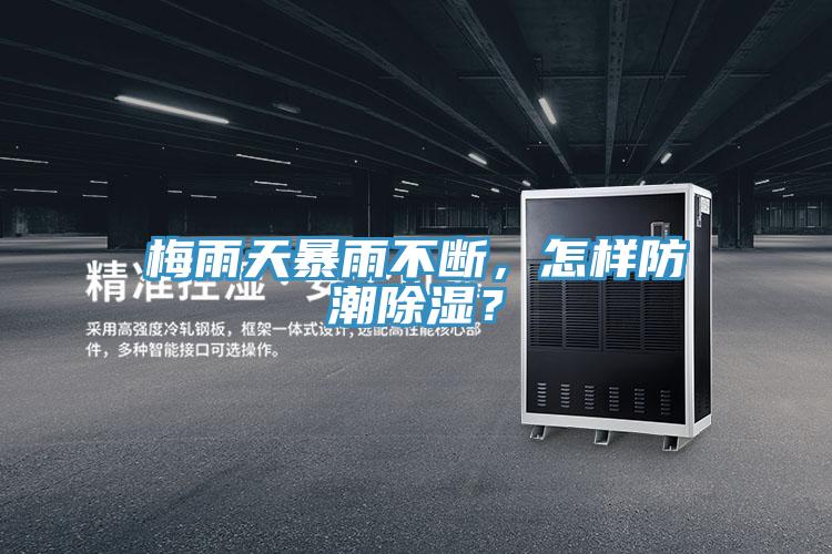 梅雨天暴雨不斷，怎樣防潮除濕？