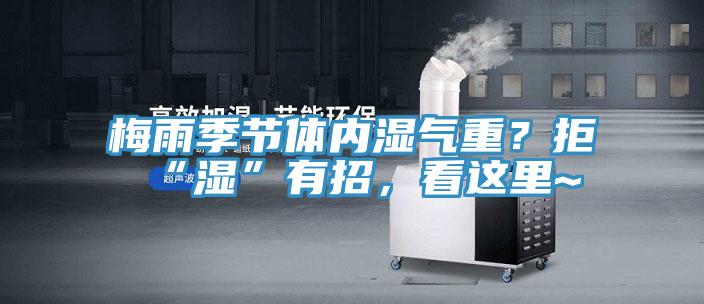 梅雨季節(jié)體內(nèi)濕氣重？拒“濕”有招，看這里~