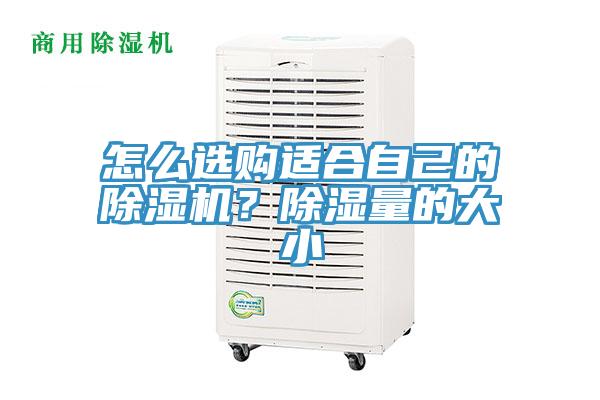 怎么選購適合自己的除濕機？除濕量的大小