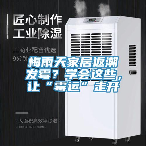 梅雨天家居返潮發(fā)霉？學(xué)會(huì)這些，讓“霉運(yùn)”走開