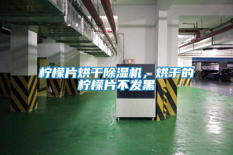 檸檬片烘干除濕機，烘干的檸檬片不發(fā)黑