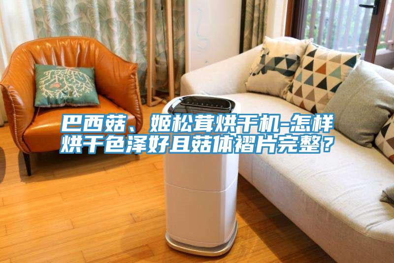 巴西菇、姬松茸烘干機-怎樣烘干色澤好且菇體褶片完整？