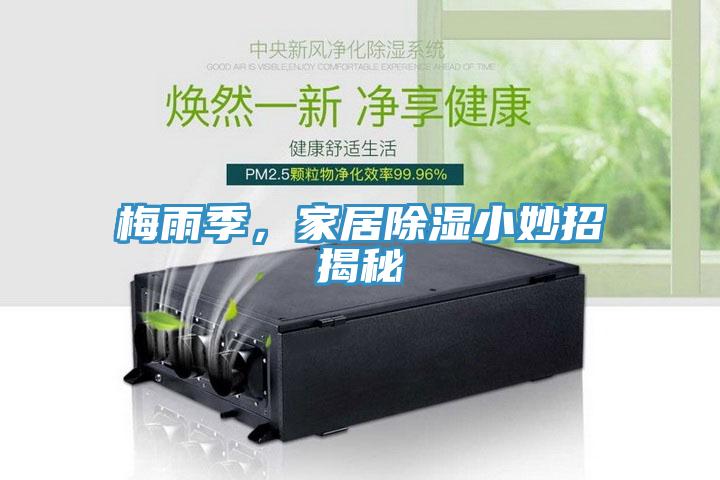 梅雨季，家居除濕小妙招揭秘