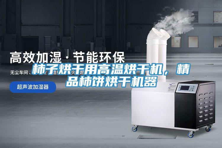 柿子烘干用高溫烘干機(jī)，精品柿餅烘干機(jī)器