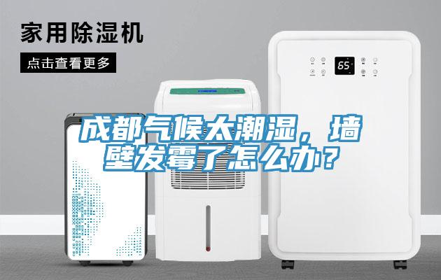 成都?xì)夂蛱睗瘢瑝Ρ诎l(fā)霉了怎么辦？