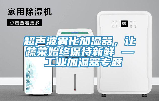 超聲波霧化加濕器，讓蔬菜始終保持新鮮 — 工業(yè)加濕器專題