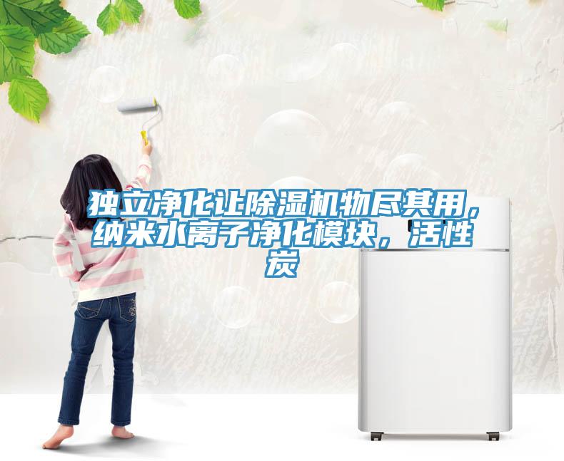 獨立凈化讓除濕機物盡其用，納米水離子凈化模塊，活性炭