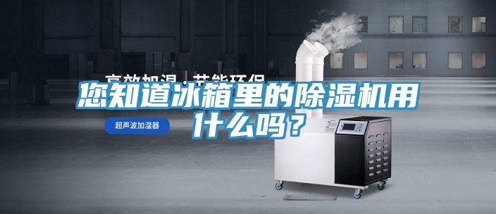 您知道冰箱里的除濕機用什么嗎？