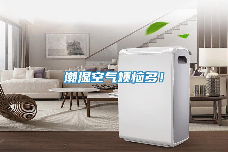 潮濕空氣煩惱多！