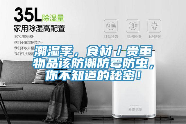 潮濕季，食材／貴重物品該防潮防霉防蟲(chóng)，你不知道的秘密！