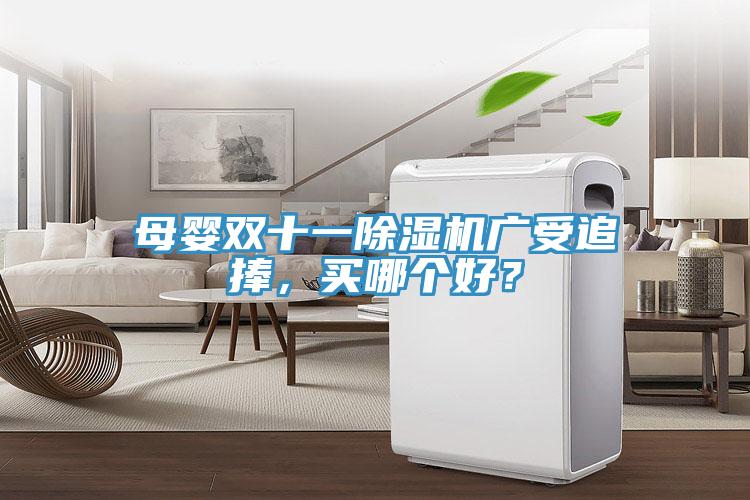 母嬰雙十一除濕機廣受追捧，買哪個好？