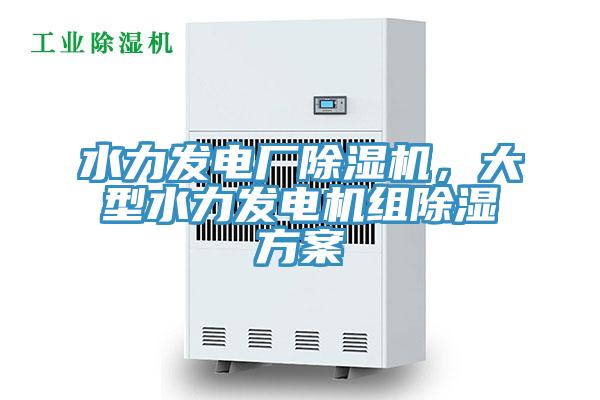 水力發(fā)電廠除濕機(jī)，大型水力發(fā)電機(jī)組除濕方案