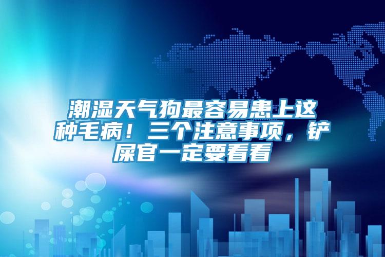 潮濕天氣狗最容易患上這種毛??！三個(gè)注意事項(xiàng)，鏟屎官一定要看看