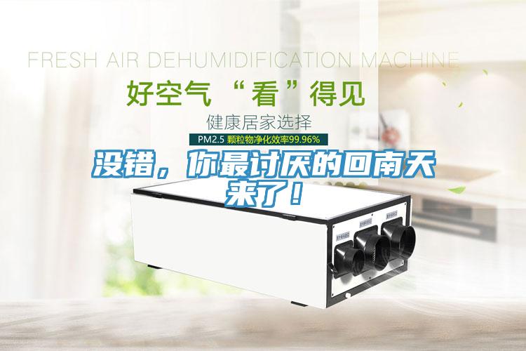 沒錯，你最討厭的回南天來了！