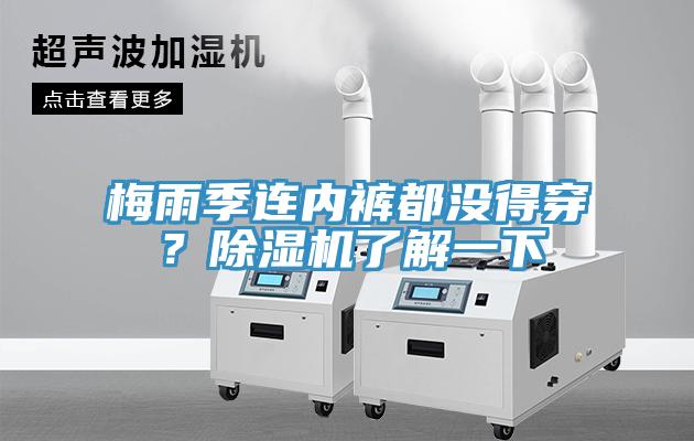 梅雨季連內(nèi)褲都沒(méi)得穿？除濕機(jī)了解一下