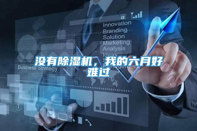 沒有除濕機(jī)，我的六月好難過