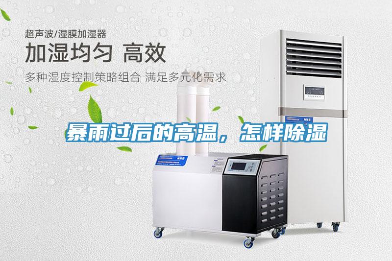 暴雨過后的高溫，怎樣除濕
