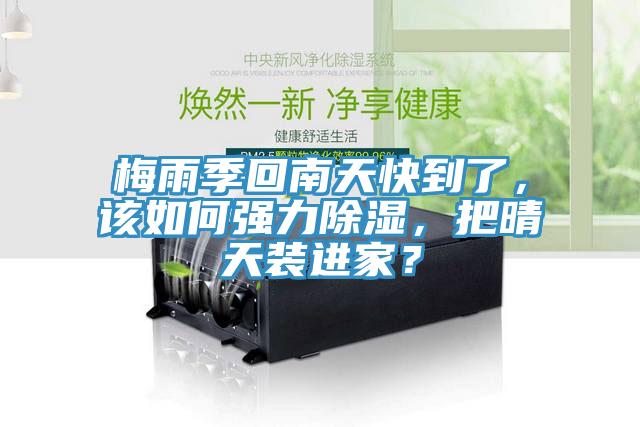 梅雨季回南天快到了，該如何強(qiáng)力除濕，把晴天裝進(jìn)家？