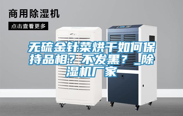 無(wú)硫金針菜烘干如何保持品相？不發(fā)黑？_除濕機(jī)廠家