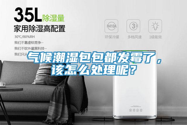 氣候潮濕包包都發(fā)霉了，該怎么處理呢？