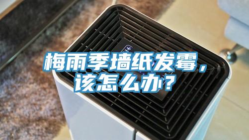 梅雨季墻紙發(fā)霉，該怎么辦？