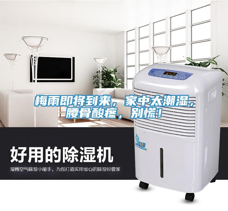 梅雨即將到來，家中太潮濕，腰骨酸疼，別慌！