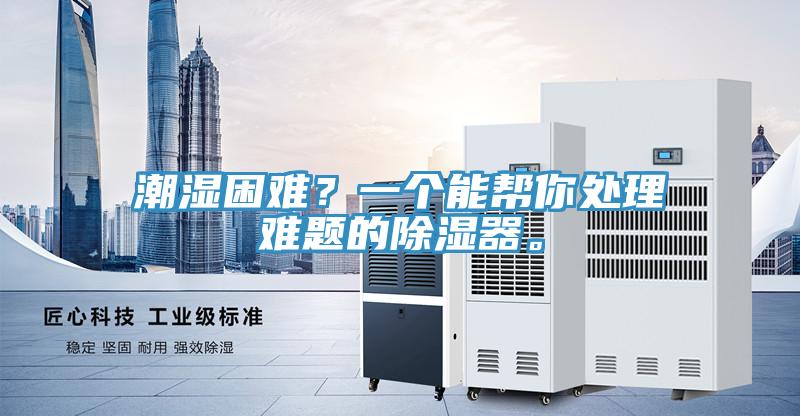 潮濕困難？一個能幫你處理難題的除濕器。