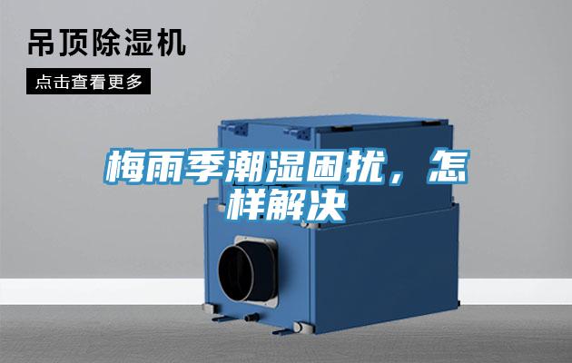 梅雨季潮濕困擾，怎樣解決