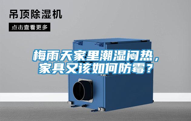 梅雨天家里潮濕悶熱，家具又該如何防霉？