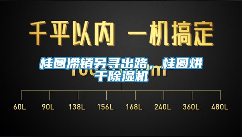 桂圓滯銷另尋出路，桂圓烘干除濕機