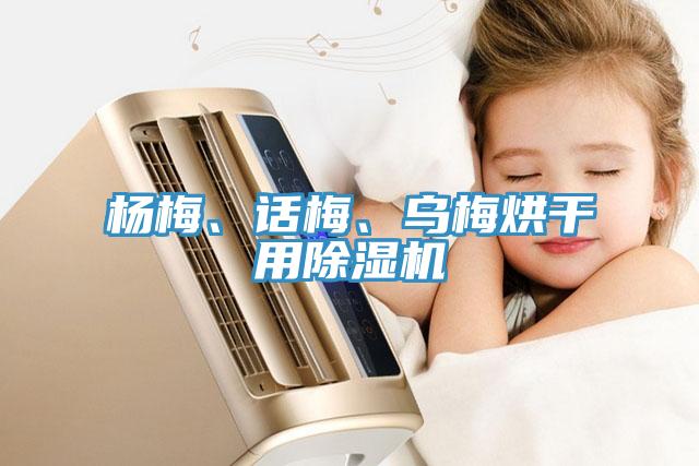 楊梅、話梅、烏梅烘干用除濕機
