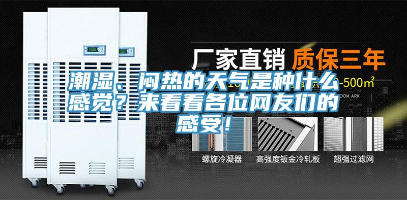 潮濕、悶熱的天氣是種什么感覺？來(lái)看看各位網(wǎng)友們的感受！