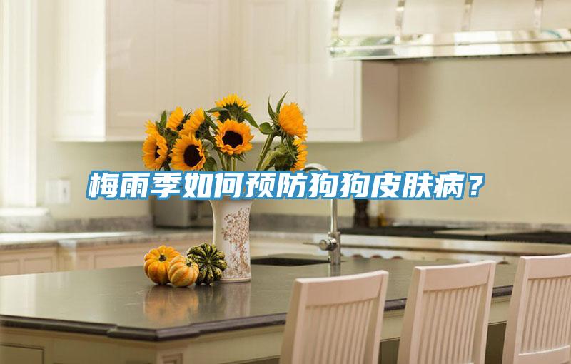 梅雨季如何預(yù)防狗狗皮膚??？