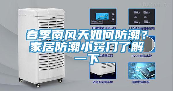 春季南風(fēng)天如何防潮？家居防潮小竅門了解一下