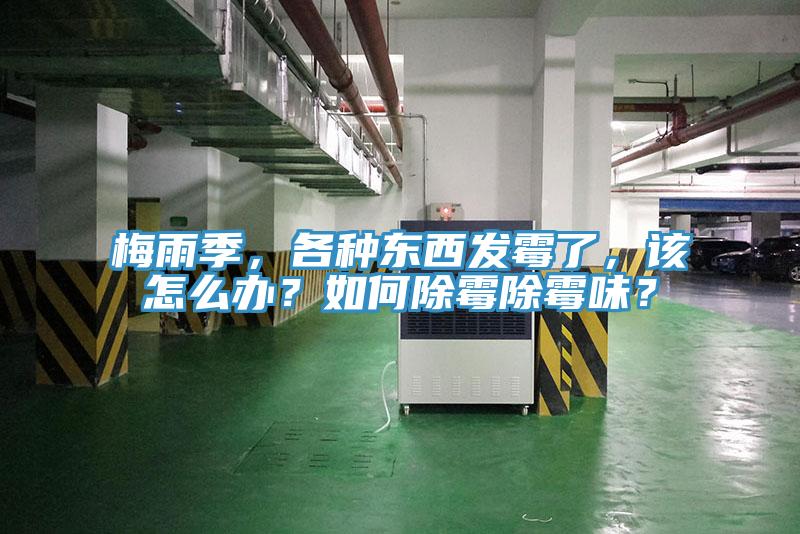 梅雨季，各種東西發(fā)霉了，該怎么辦？如何除霉除霉味？