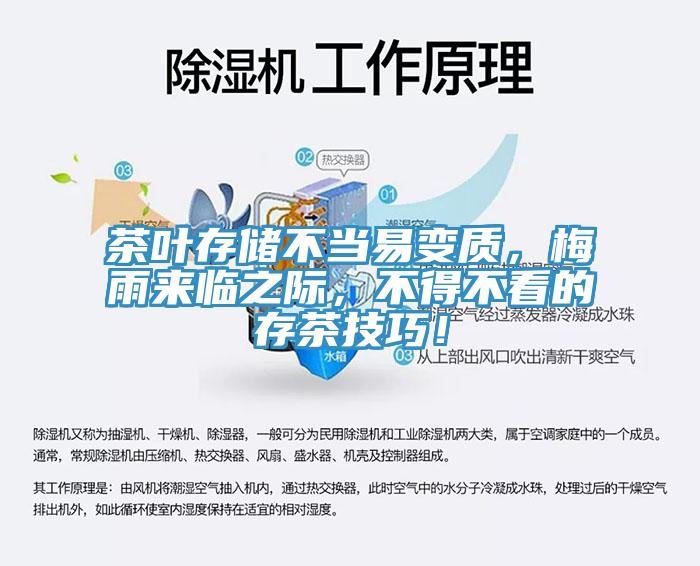 茶葉存儲不當(dāng)易變質(zhì)，梅雨來臨之際，不得不看的存茶技巧！