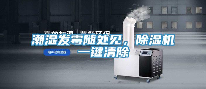 潮濕發(fā)霉隨處見，除濕機(jī)一鍵清除