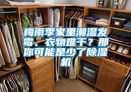 梅雨季家里潮濕發(fā)霉、衣物難干？那你可能是少了除濕機(jī)