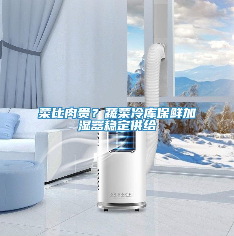 菜比肉貴？蔬菜冷庫保鮮加濕器穩(wěn)定供給