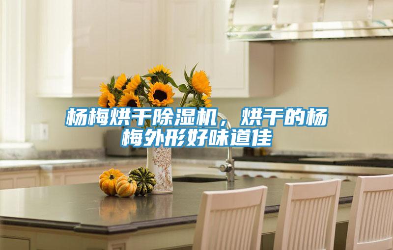楊梅烘干除濕機(jī)，烘干的楊梅外形好味道佳