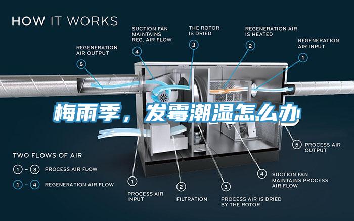 梅雨季，發(fā)霉潮濕怎么辦