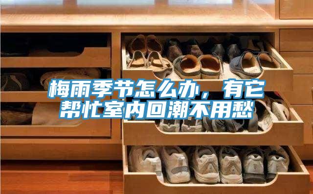 梅雨季節(jié)怎么辦，有它幫忙室內(nèi)回潮不用愁