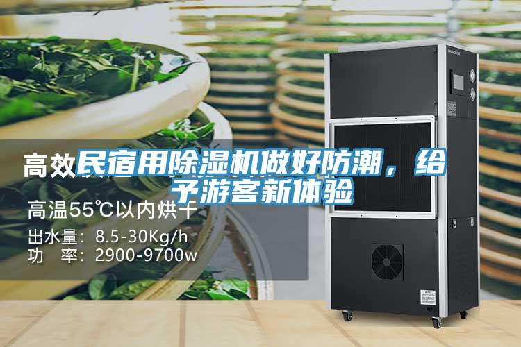 民宿用除濕機做好防潮，給予游客新體驗